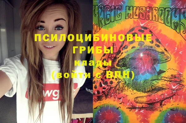 МДПВ Аркадак