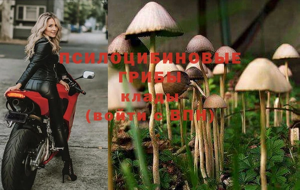 МДПВ Армянск