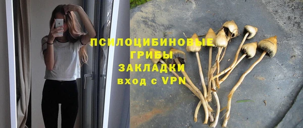 ALPHA PVP Арсеньев